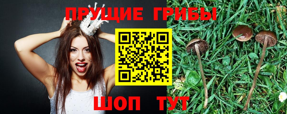 Серпухов  Галлюциногенные грибы ЛСД  наркота  Вход с VPN 