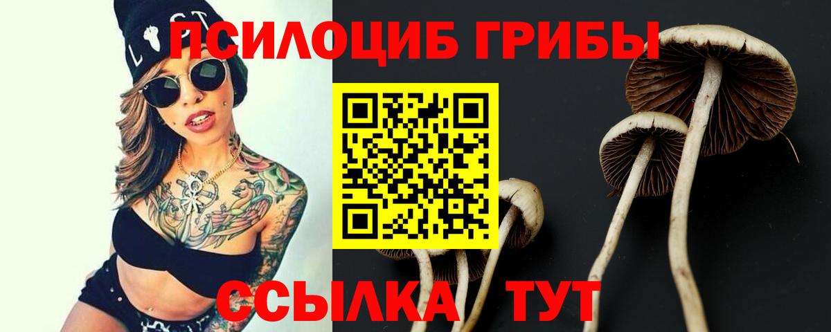 Псилоцибиновые грибы Magic Shrooms Серпухов